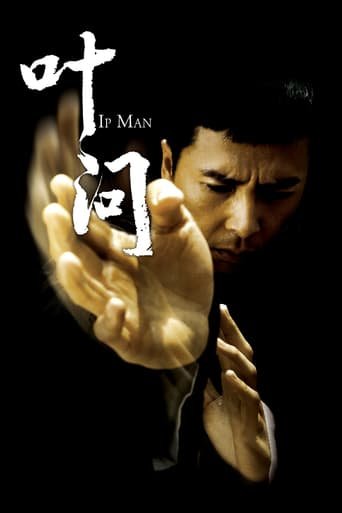 Ip Man 1 2008 ES EN